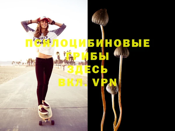 jwh Белокуриха