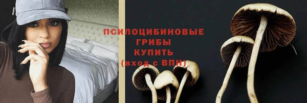 jwh Белокуриха