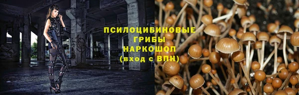 jwh Белокуриха
