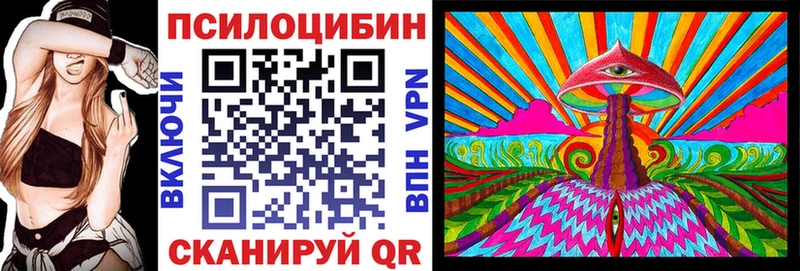 как найти   Безенчук  Псилоцибиновые грибы Psilocybine cubensis 